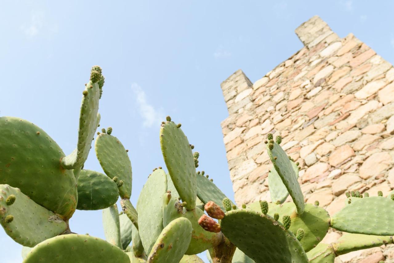 آداماس Villa Notos المظهر الخارجي الصورة